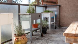 The Rise of Slow Living in Modern Cities