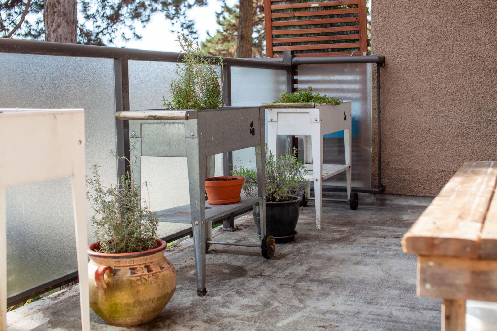 The Rise of Slow Living in Modern Cities