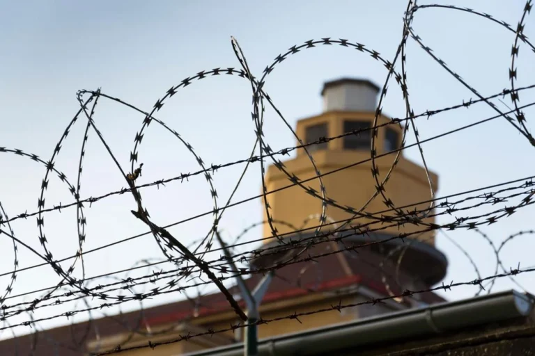 Origins of Prison Privatization in the United States