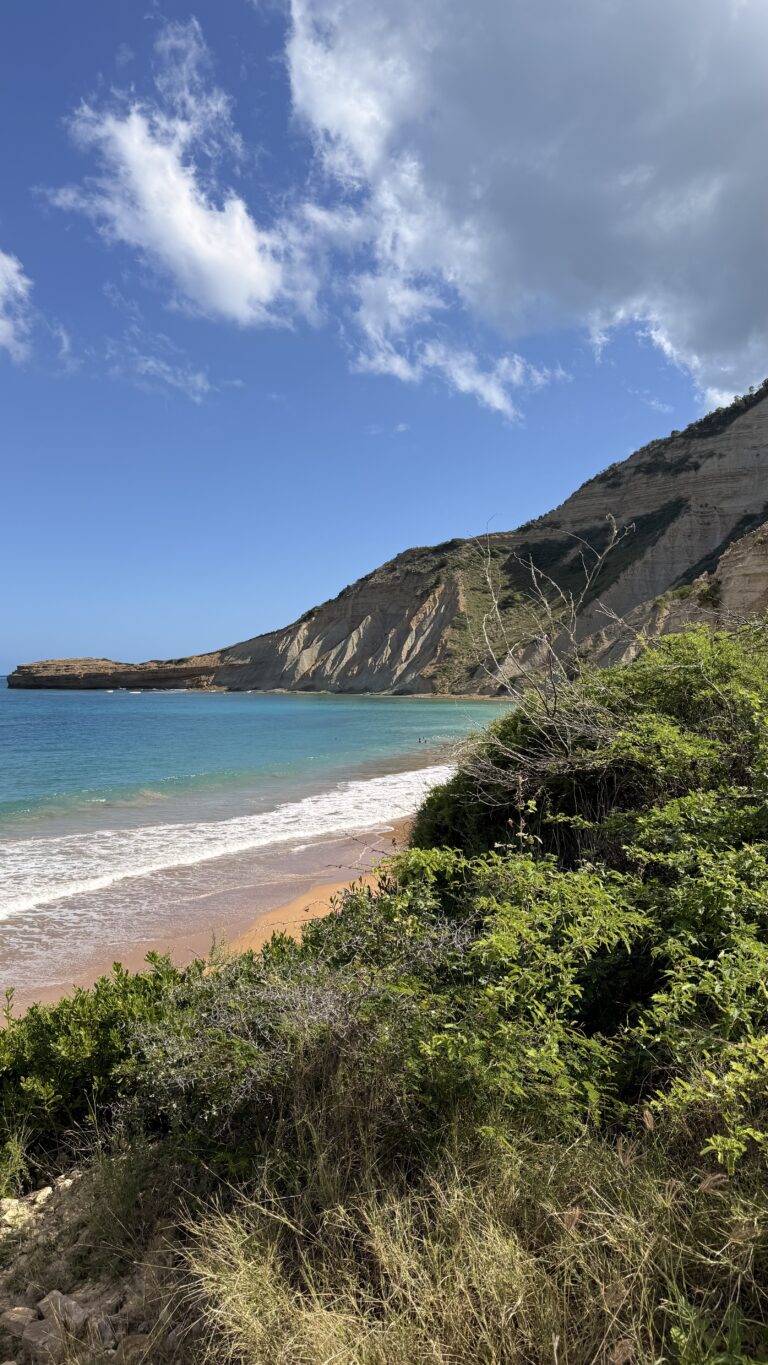Dominican Beaches
