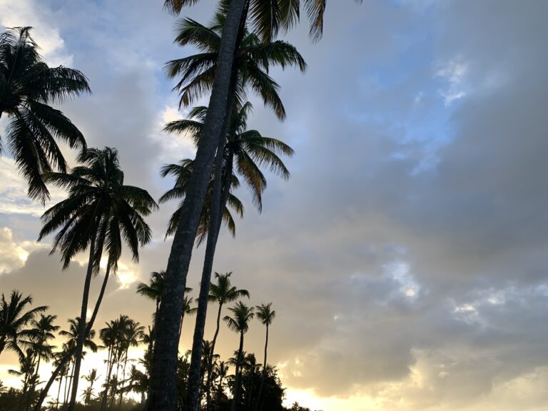 Paisajes Dominicanos