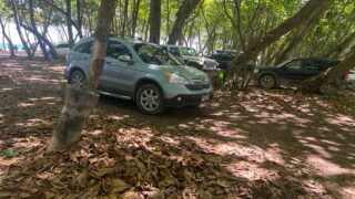 Escuelas de surf y negocios de Playa Encuentro piden intervención urgente para frenar entrada de vehículos a la franja costera