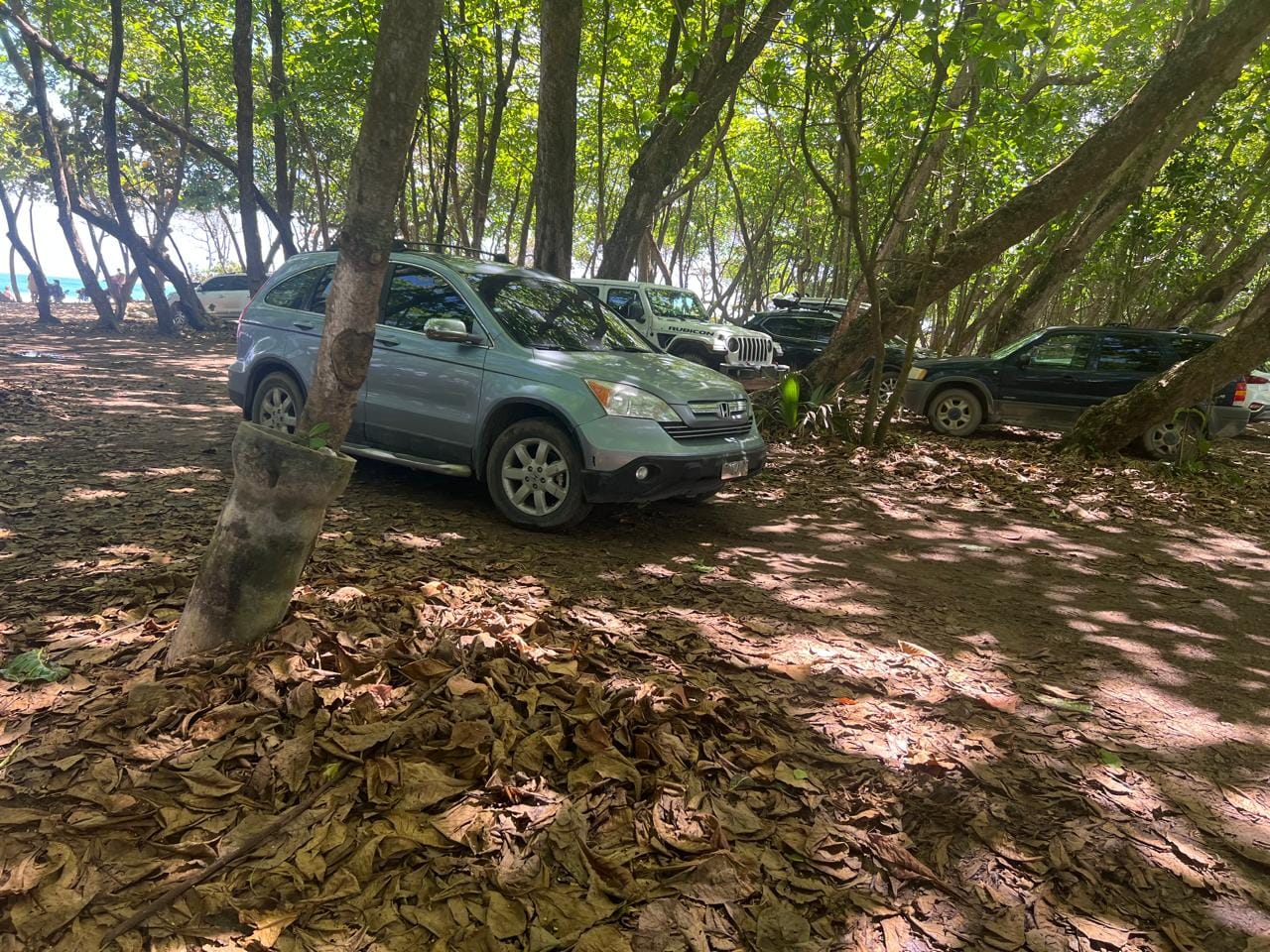Escuelas de surf y negocios de Playa Encuentro piden intervención urgente para frenar entrada de vehículos a la franja costera