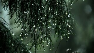 Aguaceros afectarán varias provincias y el Gran Santo Domingo durante la mañana