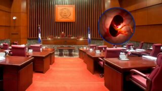 Organizaciones presentarán propuesta para incluir las tres causales en el Código Penal