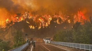 Incendio forestal afecta la costa mediterránea de Turquía en medio de una intensa ola de calor