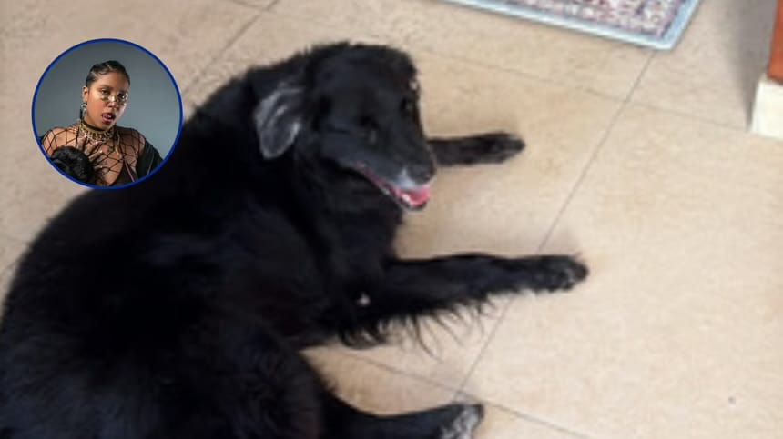 Tokisha aumenta a RD$75,000 la recompensa por información sobre su perrita desaparecida