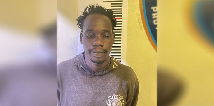 Arrestan haitiano vinculado al asesinato de mujer hallada calcinada