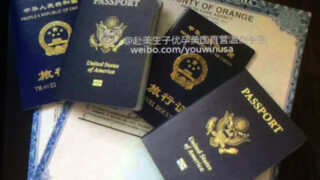 Estados Unidos revoca más de 600 visas por turismo de nacimiento