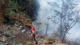 Director de Inteligencia de Ecuador muere en accidente aéreo en Kenia