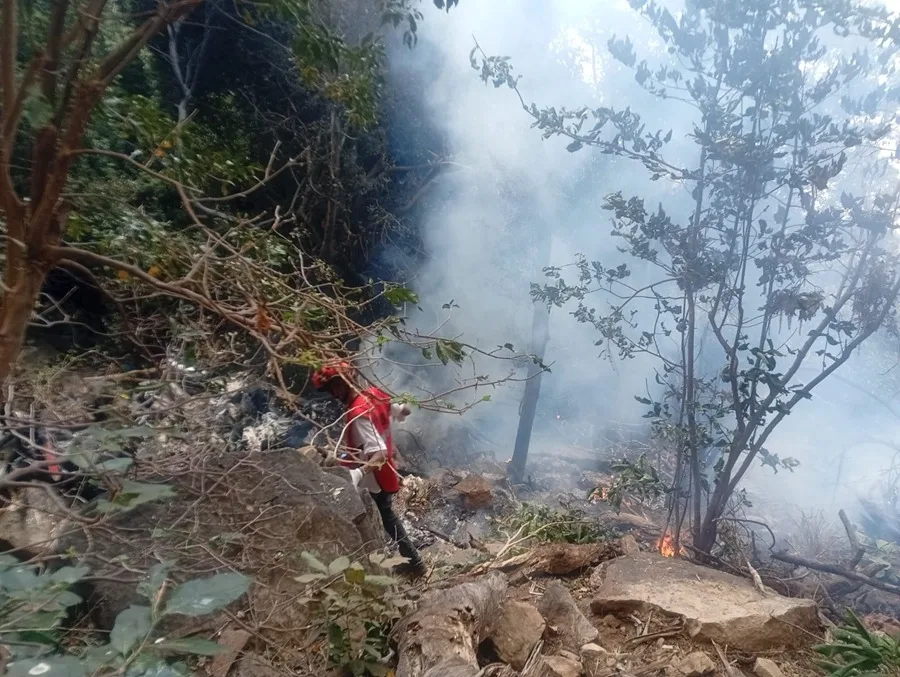 Director de Inteligencia de Ecuador muere en accidente aéreo en Kenia