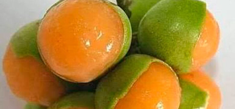 Niña de tres años fallece tras atragantarse con una semilla en Elías Piña