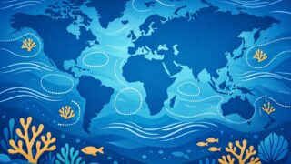 Entra en vigor el Tratado de Alta Mar para proteger la biodiversidad oceánica