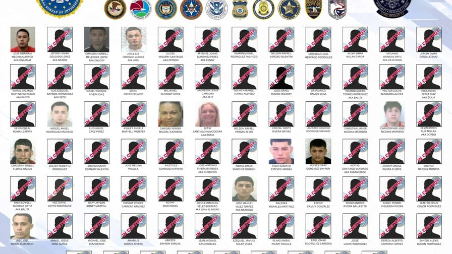 Arrestan a 70 presuntos integrantes de Los Baja Deo en Puerto Rico