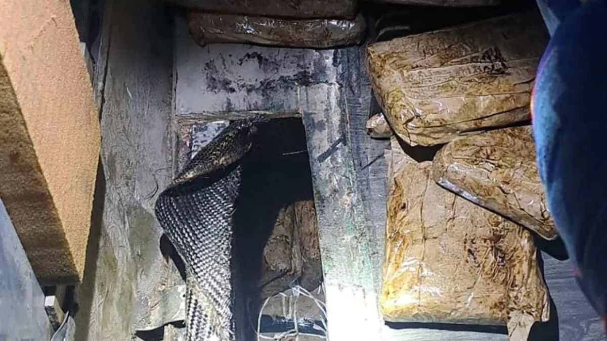 México decomisa 18 kilos de fentanilo y heroína en autobús