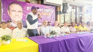 Francisco Javier García pide evitar injerencias en consulta interna del PLD