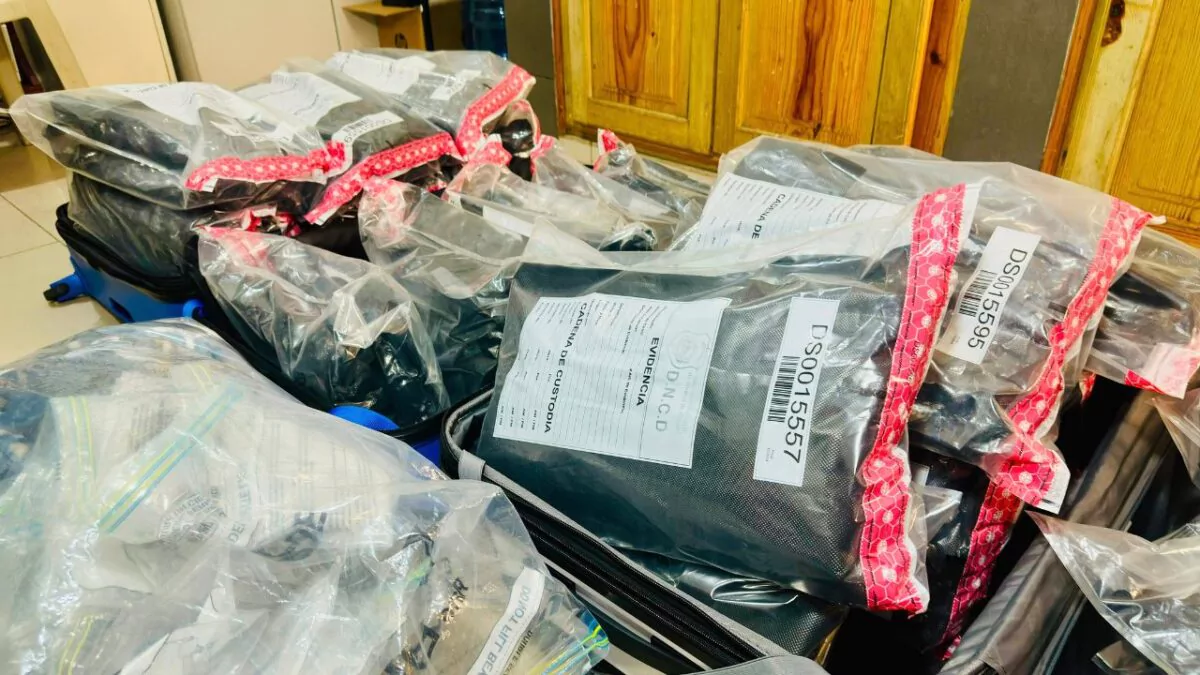 DNCD incauta 53 paquetes de presunta marihuana en aeropuerto Las Américas