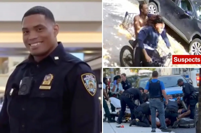 Detective dominicano del NYPD es apuñalado durante intento de robo en El Bronx