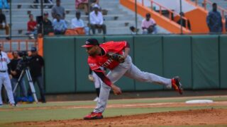Águilas, Estrellas y Escogido ganan en jornada de abundantes carreras