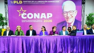 Suspensión de consulta del PLD provoca reacciones entre aspirantes