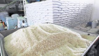Gobierno deroga aranceles al arroz tras caída de importaciones